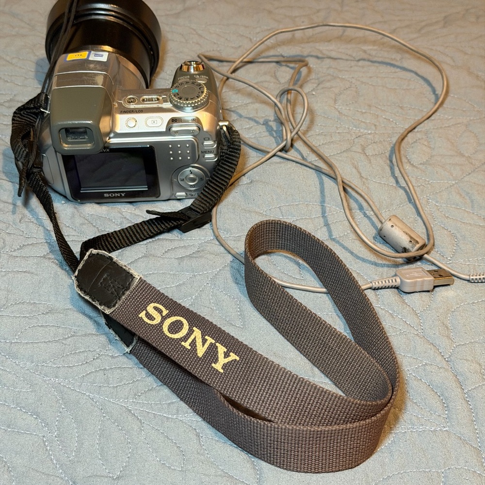 Sony Cyber-shot DSC-H2 digital camera.